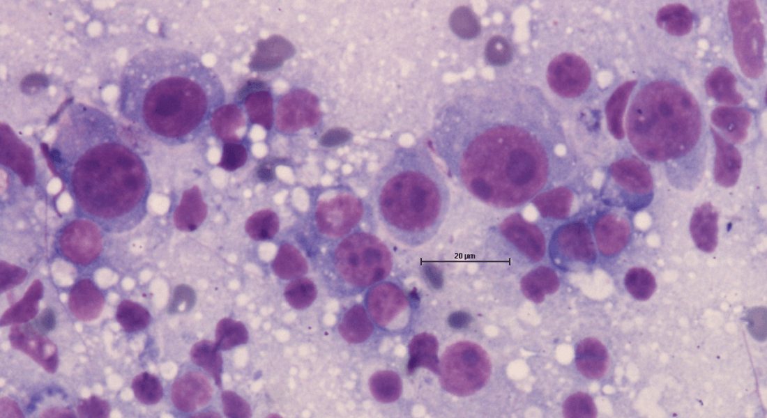 Cytology